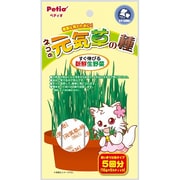 ヤマヒサ ペティオ　猫の元気草の種W320 [24個入り]