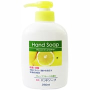 第一石鹸 DAIICHI 第一薬用ハンドソープ本体 250ml 5個セット [ハンドソープ]