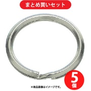 水本 WK-24-22 (水本 ステンレス キーリンク 内径22mm) 5個セット