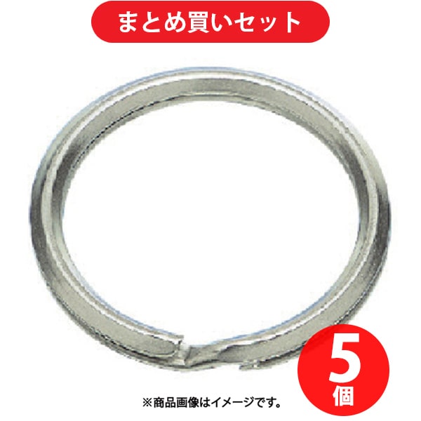水本 WK-21-20 (水本 ステンレス キーリンク 内径20mm) 5個セット