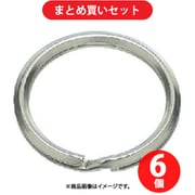 水本 WK-21-13 (水本 ステンレス キーリンク 内径13mm) 6個セット