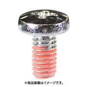 大里 PC-036 (バインド小ネジ2.5×8 SGツキ 10入) 3個セット