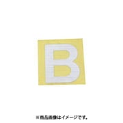 光 CL30S-B (キャリエーター シルバー 天地：30mm B) 4個セット