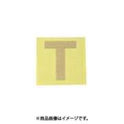光 CL30G-T (キャリエーター ゴールド 天地：30mm T) 4個セット