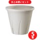 大和プラスチック 根はり鉢 3号 ホワイト 5個セット [鉢]