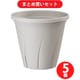 大和プラスチック 根はり鉢 5号 ホワイト 5個セット [鉢]