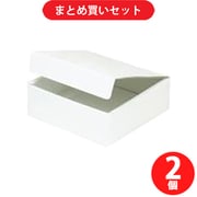 【まとめ買い割引】 Z&K ゼットアンドケイ 00-655 フラットボックス [2個セット]