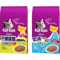 沸騰ブラドン キャットフード カルカン kal kan ドライ 下部尿路の健康維持用 まぐろと野菜味 1.6kg 6袋 learnrealjapanese.com 沸騰ブラドン キャットフード カルカン kal kan ドライ 下部尿路の健康維持用 まぐろと野菜味 1.6kg 6袋 learnrealjapanese.com