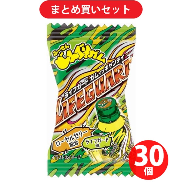 パイン どんぐりガム ライフガード 1粒 30個セット