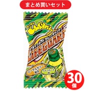 パイン どんぐりガム ライフガード 1粒 30個セット