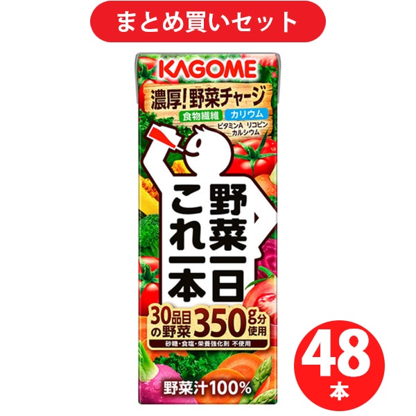 カゴメ KAGOME 野菜一日これ一本 200ml×24本 2個セット