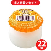 神谷醸造食品 オレンジヨーグル 6.8g ×22セット
