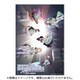 ブシロード ブシロード トレーディングカード コレクションクリア アニメ アイドルマスター シャイニーカラーズ 2nd season 1BOX（20パック入） [トレーディングカード]