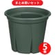 【まとめ買い割引】アップルウェアー apple 根っこつよし 5号 グリーン ×5個セット