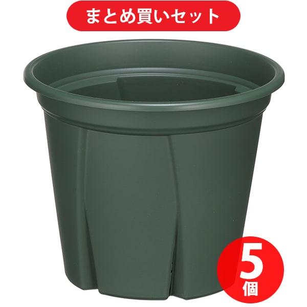 【まとめ買い割引】アップルウェアー apple 根っこつよし 5号 グリーン ×5個セット