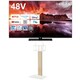 大画面テレビお買い得セット [レグザ 48V型 4K有機ELテレビ 48X8900N ＋ イコールズ 首振り機能付き WALL TVスタンド V3 SW ハイタイプ ホワイトオーク WLTVZ6232]