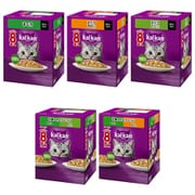 【まとめ買い割引】カルカン パウチ[猫用 ウエットフード 60g×8袋 成猫（1歳～7歳） 総合栄養食]アソートセット