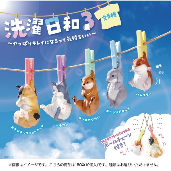 洗濯日和3 ～やっぱりキレイになるって気持ちいい～ 1BOX（10個入） [コレクショントイ]
