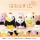 はむすび。ぱく！ 1BOX（10個入） [コレクショントイ]