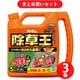 【まとめ買い割引】フマキラー FUMAKILLA カダン 除草王 ザッソージエース 5L ×3個セット