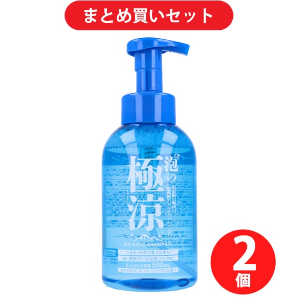 【まとめ買い割引】ランディスミス 泡の極涼 アイスボディシャンプー 500ml ×2個セット