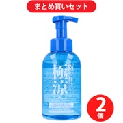 【まとめ買い割引】ランディスミス 泡の極涼 アイスボディシャンプー 500ml ×2個セット