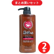 【まとめ買い割引】エス・ティ・ヒッツ 馬油＆炭シャンプー 600ml ×2個セット