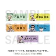 イーディス Dr.STONE トレーディング ネームプレート 1BOX（5個入） [コレクショントイ]
