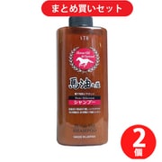 【サマーセールFINAL お買い得セット】エス・ティ・ヒッツ「馬油＆炭シャンプー 600ml」×2個セット