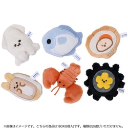 セイホウ 動物の惑星～アニマルプラネット～ 海鮮シリーズ ぬいぐるみマグネット 1BOX（6個入） [コレクショントイ]