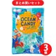 【生活応援セールセット】 [野州たかむら OCEAN CANDY SALTY BLUE オーシャンキャンディ ソルティブルー 45g×3個セット]