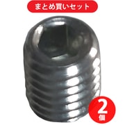 マイト ホルダー・アースクリップ・ピンロックジョイント用六角穴イモネジ M8×10（2本入/袋） [型番：PHE-81] ×2個セット