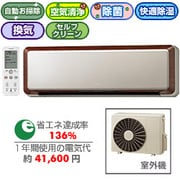 脱臭・除菌・お掃除エアコン(16畳) RAS-X50W2-N(シャンパンゴールド) ミスト脱臭 ステンレス・クリーン白くまくん