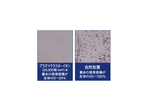 ヨドバシ.com - シャープ SHARP 高濃度プラズマクラスター7000 ヨドバシ.com - シャープ SHARP 高濃度プラズマクラスター7000