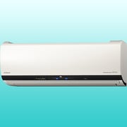 ステンレスクリーン お掃除エアコン(14畳・200V対応) パールホワイト 白くまくん Xシリーズ RAS-X40D2-W