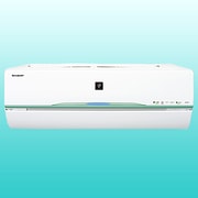 高濃度プラズマクラスター25000搭載・お掃除エアコン (14畳・200V対応) ホワイト系 D-VXシリーズ AY-D40VXW