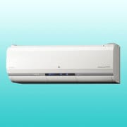 ステンレス・クリーン お掃除エアコン(12畳・100V対応) スターホワイト 白くまくん Xシリーズ RAS-X36F W