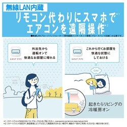 ヨドバシ.com - パナソニック Panasonic CS-J222D-W [Eolia（エオリア