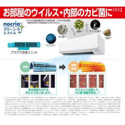 Amazon | カシオ計算機 カシオ 電子辞書 EX-word XD-SW6000 XD