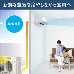 ヨドバシ.com - ダイキン DAIKIN エアコン （12畳・単相100V） うるさらX Rシリーズ 換気機能 ホワイト AN364ARS-W  通販【全品無料配達】