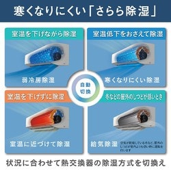 らんみ⭐︎まとめ買いお安くします A+ (アクセントプラス) 確実に貯まる貯金箱 お札用 お札 折らず