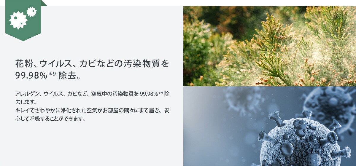 汚染物質を除去 >