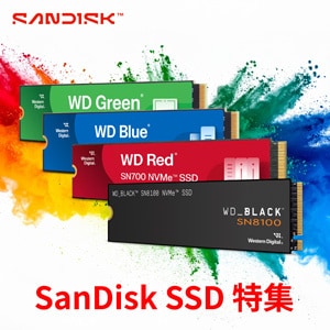 SanDisk SSD特集