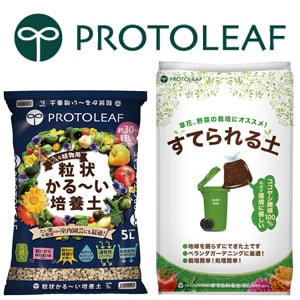 PROTOLEAF