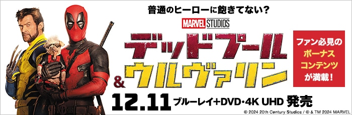 marvel ヒーロー 3種セット(19点 したし