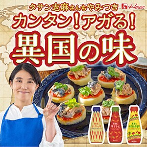 ハウス食品 カンタン！アガる！異国の味＞