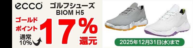 エコー BIOM H5シリーズ17％還元