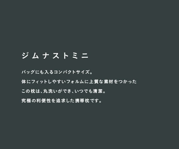 ジムナストミニ説明