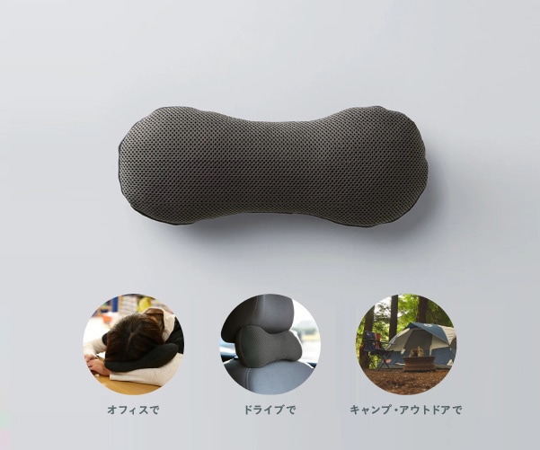 ジムナストミニ画像