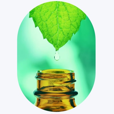 毎日使いたくなる香味